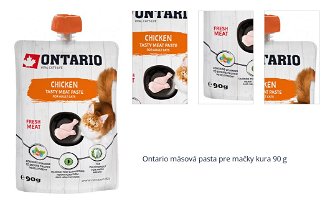 Ontario mäsová pasta pre mačky kura 90 g 1