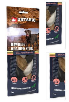 Ontario Rawhide Snack Green tea Braid 20cm 3