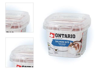 ONTARIO Snack Salmon Bits 75g 4