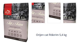 Orijen cat fit&trim 5,4 kg 1