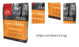 Orijen cat kitten 5,4 kg 1