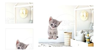 Pastelowe Love Nálepka na stenu - zvieratká - mačiatko Velikost: malá 4