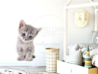 Pastelowe Love Nálepka na stenu - zvieratká - mačiatko Velikost: malá 2
