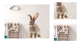 Nálepka na stenu - zvieratká - zajačik veľkosť: veľká 3