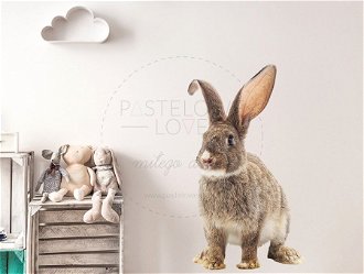 Pastelowe Love Nálepka na stenu - zvieratká - zajačik Velikost: veľká