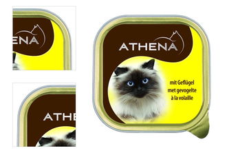 Pasteta Athena hydina 100g 4