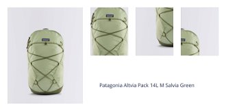 Patagonia Altvia Pack 14L M Salvia Green 1