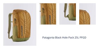 Patagonia Black Hole Pack 25L PFGD 1