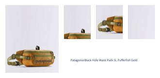 Patagonia Black Hole Waist Pack 5L Pufferfish Gold 1