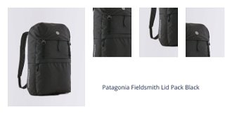 Patagonia Fieldsmith Lid Pack Black 1