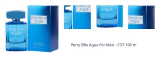 Perry Ellis Aqua For Men - EDT 100 ml 1