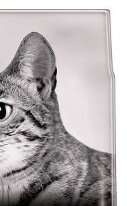 Pro Plan granuly pre mačky Cat Sterilised losos 10kg 7