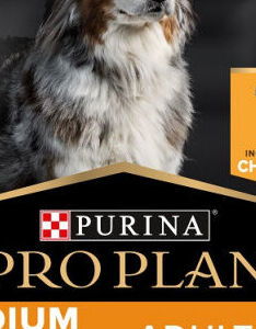 Pro Plan Medium Large Adult 7+ Age Defence kuracie 14kg 5