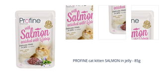 Profine Pouch Fillets in Jelly 85g - Kitten Salmon 1