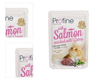 Profine Pouch Fillets in Jelly 85g - Kitten Salmon 4