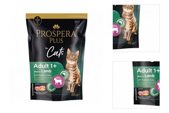 Prospera cat kapsička Adult jahňa s tekvicou 85 g 3