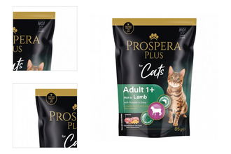 Prospera cat kapsička Adult jahňa s tekvicou 85 g 4