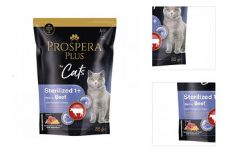 Prospera cat kapsička Adult Sterilized hovädzie s tekvicou 85 g 3