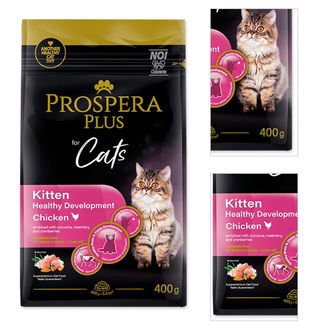 Prospera plus cat Kitten Development 0,4 kg 3