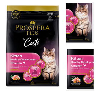 Prospera plus cat Kitten Development 2 kg 3