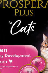 Prospera plus cat Kitten Development 7 kg 5