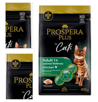 Prospera plus cat Optimal Wellness 0,4 kg 4