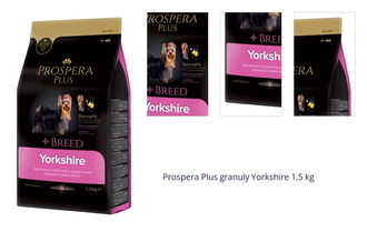 Prospera Plus granuly Yorkshire 1,5 kg 1