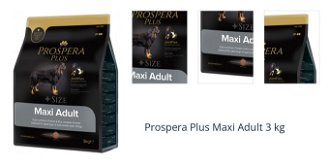 Prospera Plus Maxi Adult 3 kg 1