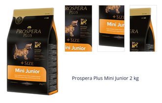 Prospera Plus Mini Junior 2 kg 1