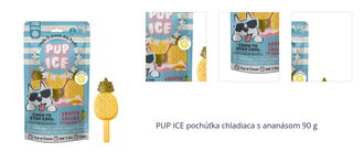 PUP ICE pochúťka chladiaca s ananásom 90 g 1