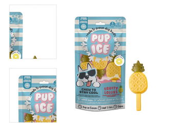 PUP ICE pochúťka chladiaca s ananásom 90 g 4