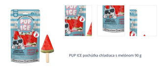 PUP ICE pochúťka chladiaca s melónom 90 g 1