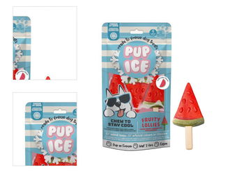 PUP ICE pochúťka chladiaca s melónom 90 g 4