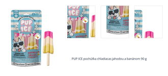 PUP ICE pochúťka chladiacas jahodou a banánom 90 g 1