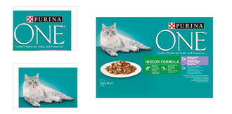 Purina One kapsička pre mačky Indoor tuniak, fazuľky, teľa, mrkva 4 x 85 g 4