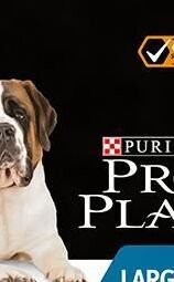 Purina PRO PLAN Dog Adult Large Robust - 3kg 5