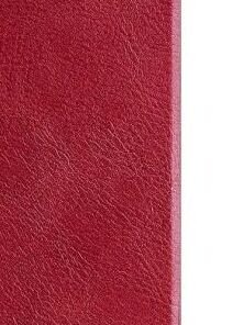 Knižkové puzdro Nillkin Qin Book pre Samsung Galaxy A23, červená 5