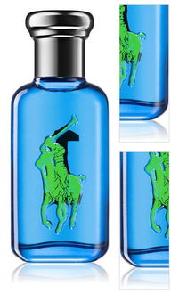 Ralph Lauren The Big Pony 1 Blue toaletná voda pre mužov 50 ml 3