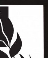 Rámovaný obraz Čiernobiela rastlinná abstrakcia IV, 24x30 cm% 7