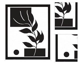 Rámovaný obraz Čiernobiela rastlinná abstrakcia IV, 24x30 cm% 3