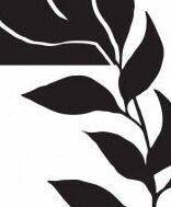 Rámovaný obraz Čiernobiela rastlinná abstrakcia IV, 24x30 cm% 5