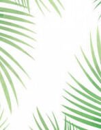 Rámovaný obraz Tropické listy, 18x24 cm% 5