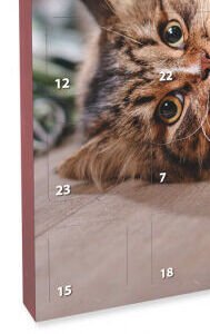 Rasco Premium adventný kalendár pre mačky 8