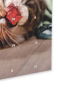Rasco Premium adventný kalendár pre mačky 9