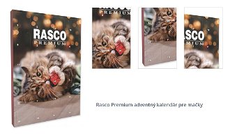 Rasco Premium adventný kalendár pre mačky 1