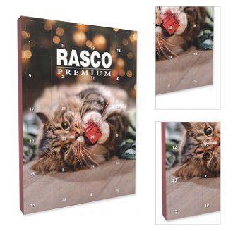 Rasco Premium adventný kalendár pre mačky 3