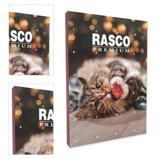 Rasco Premium adventný kalendár pre mačky 4