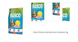 Rasco Premium Cat Adult kura a čakanka 2 kg 1