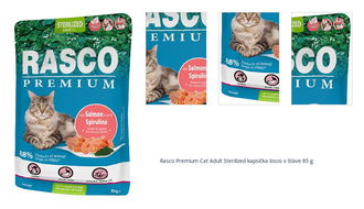 Rasco Premium Cat Adult Sterilized kapsička losos v šťave 85 g 1