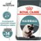 RC cat    HAIRBALL care - 10kg